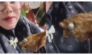 Viral Guru Tunjukkan Benda Diduga Peluru di Daging Menu MBG, SPPG Sindangsari Disuspend