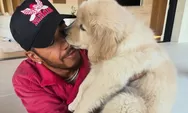 Lewis Hamilton Temukan Anjing Baru Pengganti Roscoe