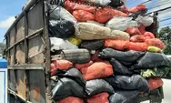 Sampah Tercecer di Jalan Timbulkan Bau Busuk, Petugas Bidik Truck Sampah Tanpa Penutup