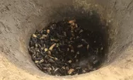 Limbah Pertanian Disulap Jadi Biochar, Pasaman Barat Bidik Pasar Karbon