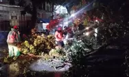 Pohon Tumbang di Pusat Kota Padang, Arus Lalu Lintas Sempat Terganggu