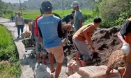 Kolaborasi Warga dan PT Semen Padang, Gotong Royong Perbaiki Jalan Rusak Baringin–Tarantang