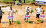 Bantuan Rp29 Miliar Mengalir ke Agam, Tanam Padi Serentak Jadi Momentum Kebangkitan