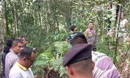 Cleaning Service di Padang Ditemukan tak Bernyawa di Kawasan Hutan Biologi Unand