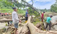 Dampak Banjir Bandang di Limapuluh Kota, Kayu Tumbang Hambat Arus Sungai Batang Sandir