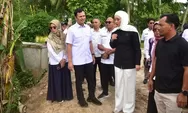 Pemulihan Lahan Pertanian Pascabencana di Padang Pariaman Dipercepat, Ratusan Hektare Mulai Ditanami
