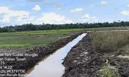 Rp6,2 Miliar Digelontorkan, Pemulihan Lahan Pertanian Pasaman Barat Capai 26 Persen