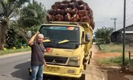 Harga Sawit di Pesisir Selatan Anjlok hingga Rp700 per Kg, Simak Penyebabnya