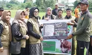 Warga Padang Alai Bodi Payakumbuh Terima Sapi Kurban dari Program Indo Jalito Peduli