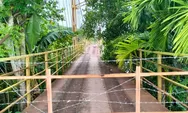 Jembatan Gantung Luhung Pesisir Selatan Rusak Parah, Pemkab Pessel Targetkan Pembangunan 2027
