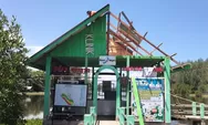 Rumah Sakit Penyu Pertama di Sumbar Segera Dibangun di Pesisir Selatan, Jadi Pusat Konservasi Satwa Laut