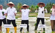 Padang Pariaman Percepat Pemulihan Pertanian, Tanam Serentak Digelar di Tanah Taban