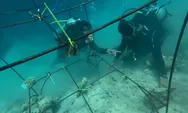 Terumbu Karang Pertamina Patra Niaga Sumbagut, Langkah Nyata Jaga Laut untuk Generasi Mendatang