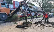 Diduga Mengantuk, Sopir Truk Tabrak Pohon Pembatas Jalan hingga Tumbang di Jalan Lintas Padang-Solok