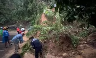 Jalan Raya Padang-Painan Lumpuh, Longsor dan Pohon Tumbang Hantam Mobil Serta Warga