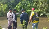 Bupati Padang Pariaman Tinjau Irigasi, Jembatan, dan Pasar dalam Program Putar Roda