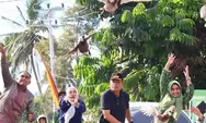 Pacu Itik hingga Gulai Itik Lado Hijau, SAKU TABA Dorong Wisata Budaya Payakumbuh