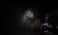 Mobil Masuk Jurang Sedalam 80 Meter di Panorama Sitinjau Lauik, Basarnas Kerahkan Tim Penyelamat