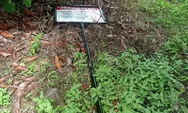 Polres Agam Dalami Dugaan Pencurian Hasil Kebun Sawit dan Perusakan Plang di Kawasan HKm