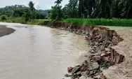 Tebing Batang Tiku Runtuh di Tiga Titik, Jalan Kabupaten di Agam Terancam