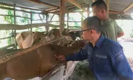 Vet GAS Solok Selatan Hadirkan Layanan Kesehatan Hewan Keliling, Petugas Datangi Kandang Peternak