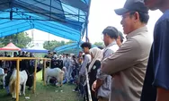 Kontes Kambing PE Wali Kota Cup 2026 Perkuat Kualitas Bibit dan Daya Saing Peternak