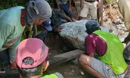 Banjir Padang Sisakan Kerusakan Irigasi Pertanian, Perbaikan Dikebut di Kuranji dan Pauh