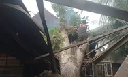 Pohon Tumbang Timpa Rumah dan Bengkel Warga Padang