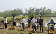 Injourney Green di Pantai Tiram, 10 Ribu Mangrove Disiapkan jadi Benteng Alami Pesisir