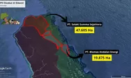 Walhi Sumbar Desak Pemulihan Hutan Adat Mentawai, Tolak Izin Baru di Pulau Sipora
