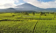 Jalur Gunung Kerinci via Solok Selatan Tembus 30 Jam, Pendakian yang Dulu Lima Hari Kini Lebih Singkat