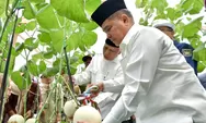 Petani Milenial Agam Dapat Screenhouse Rp472 Juta, Produksi Cabai Ditargetkan Makin Stabil