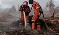 Kemenhut Sanksi 32 Perusahaan terkait Karhutla, Luas Area Terbakar Capai 12.926 Hektare