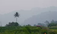 Kualitas Udara Membaik, Pemko Padang Panjang Kembali Terapkan Sekolah Tatap Muka