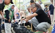 Tekan Inflasi, ASN Payakumbuh Mulai Tanam Cabai dan Bawang Merah di Kantor