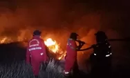 Update Karhutla: 1.323 Hotspot Terdeteksi, Sumatera Selatan Capai 112 Titik