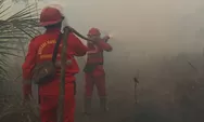Karhutla Sumatera: Riau-Jambi Nihil Hotspot, Sumsel Turun 23 Titik