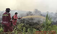 Kemenhut Tangani 290 Satwa Liar Terdampak Karhutla, Termasuk Orangutan