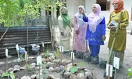 Lahan Sempit di Rumah Bisa Jadi Sumber Pangan, TP PKK Agam Dorong Warga Manfaatkan
