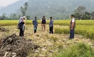 Agam Kaji Teknologi Air Siap Minum untuk Warga Terdampak Banjir dan Longsor
