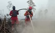 Mengapa Karhutla Sulit Padam? Pakar Ungkap Peran Cuaca, Manusia, dan Gambut