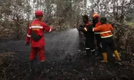 Bahan Pemadam Karhutla dari Brasil Diuji di Sumsel, Diklaim Efektif Atasi Api Gambut