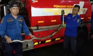 Warga Sumedang Panik Ular Sanca Lepas dari Kandang, Damkar Evakuasi Ular dari Saluran Air