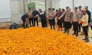 Polres Sumedang Ikut Panen Jagung Serentak Nasional, Digelar di Margalaksana