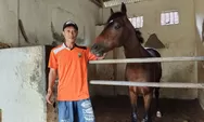 Suramadu Stable Siap Berangkatkan Tiga Ekor Kuda Untuk Jateng Derby 2026