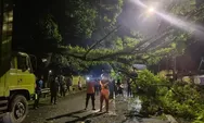 Truk Tronton Tabrak Dahan, Pohon Tumbang Tutup Jalan Nasional Sumedang–Bandung