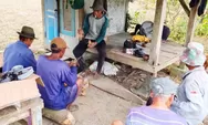 3 Kali Musim Panen Petani Merugi, Pesawahan di Surian Terkena Hama Tikus