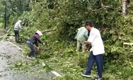 Cuaca Ekstrem, Hujan Disertai Angin Kencang Tumbangkan Pohon di Ciberecek Buahdua Sumedang