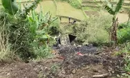 Rusak Kopling, Truk Batu Bara Terjun ke Jurang di Jalur Cadas Pangeran Kawasan Cigendel