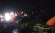 Pohon Aren Tumbang di Jalan Cadas Pangeran Sumedang, Satu Orang Tertimpa